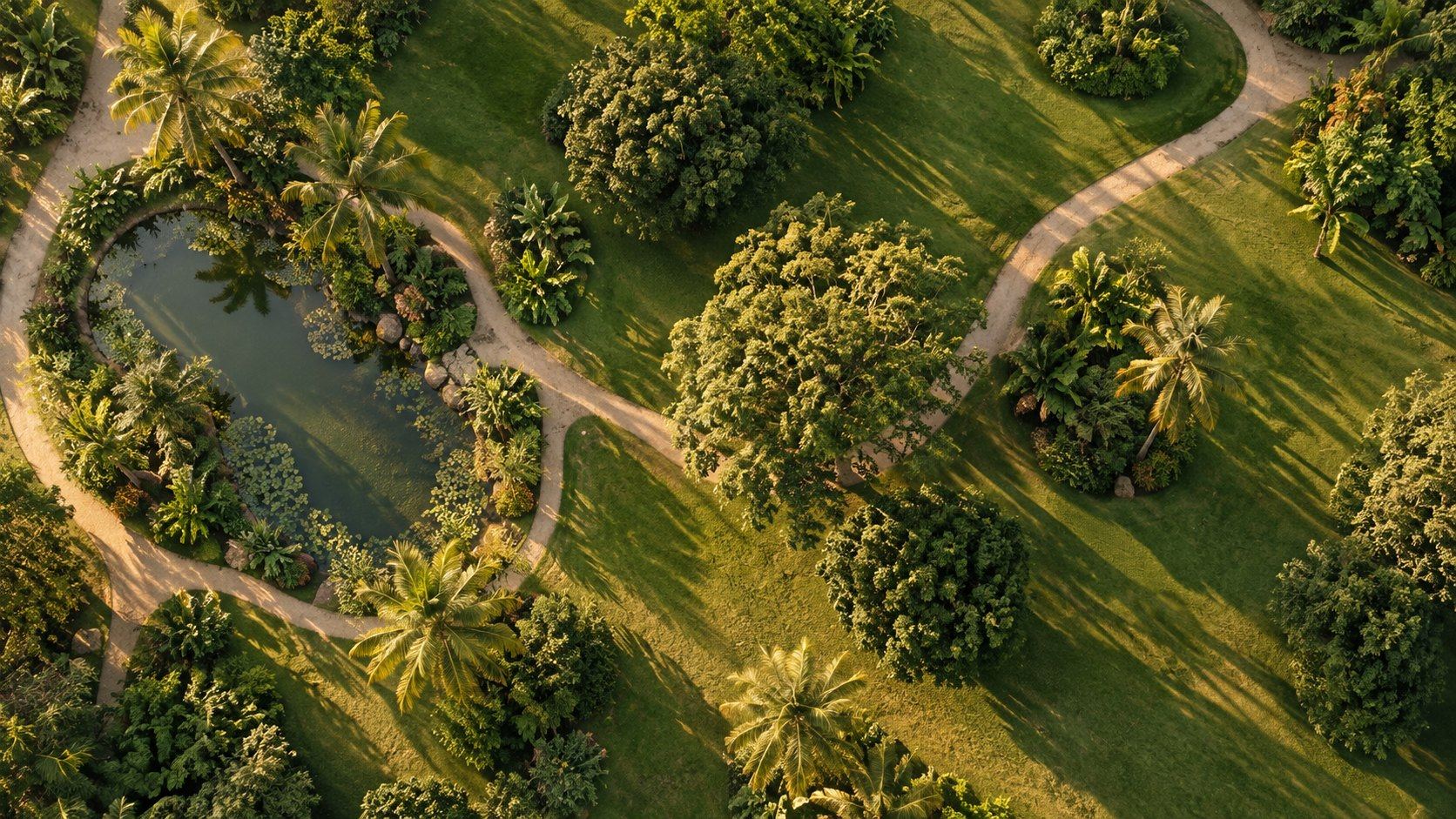 Vista aérea de jardines tropicales y senderos